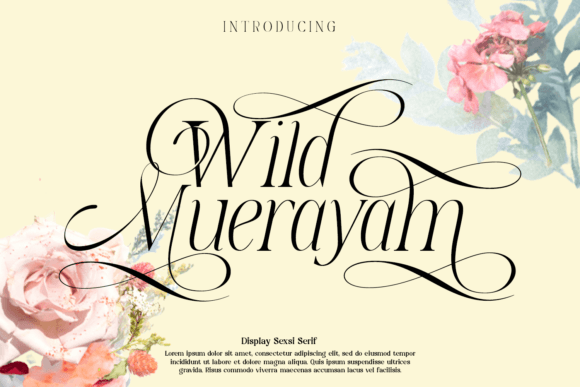 Wild Muerayam: A Modern Display Font for Web Design